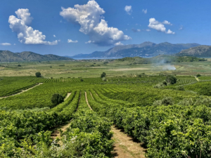 Albanien över nyår med Singelresor