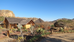 Madagaskar med Singelresor