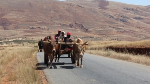 Madagaskar med Singelresor