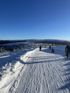 Skidresa i Stöten, Sälen med Singelresor