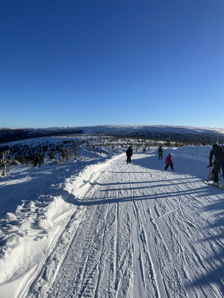 Skidresa i Stöten, Sälen med Singelresor
