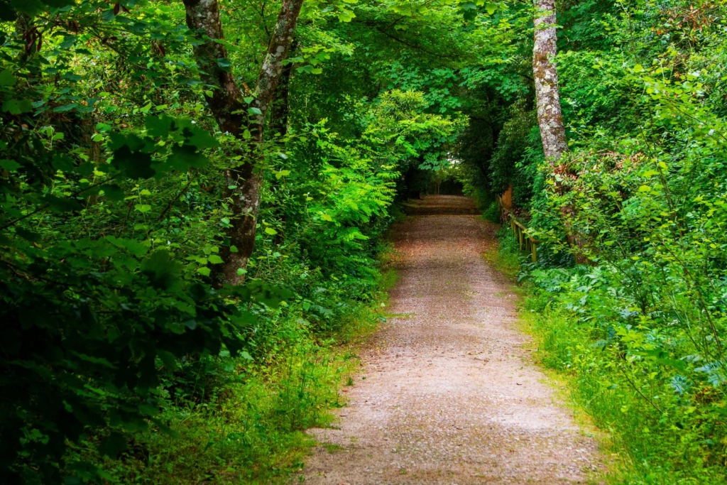 Vandringsresa - Atlantkusten, Sintra och Lissabon med Singelresor