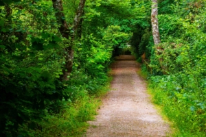 Vandringsresa - Atlantkusten, Sintra och Lissabon med Singelresor