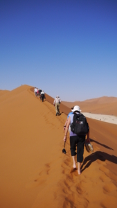 Namibia med Singelresor