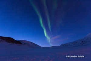 Nyårsresa till Svalbard med Singelresor
