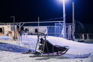 Nyårsresa till Svalbard med Singelresor