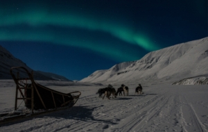 Nyårsresa till Svalbard med Singelresor