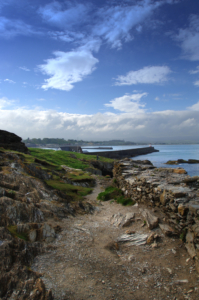Dublin över nyår med Singelresor