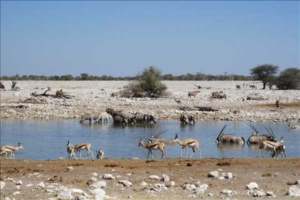 Namibia med Singelresor