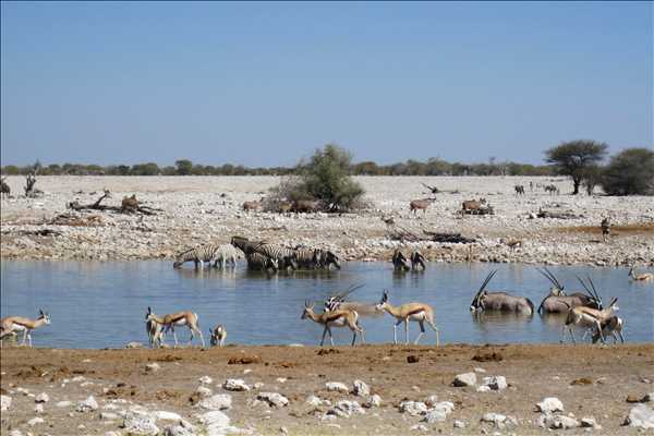 Namibia med Singelresor