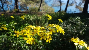 Costa Brava med Singelresor