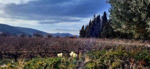 Costa Tropical longstay med Singelresor