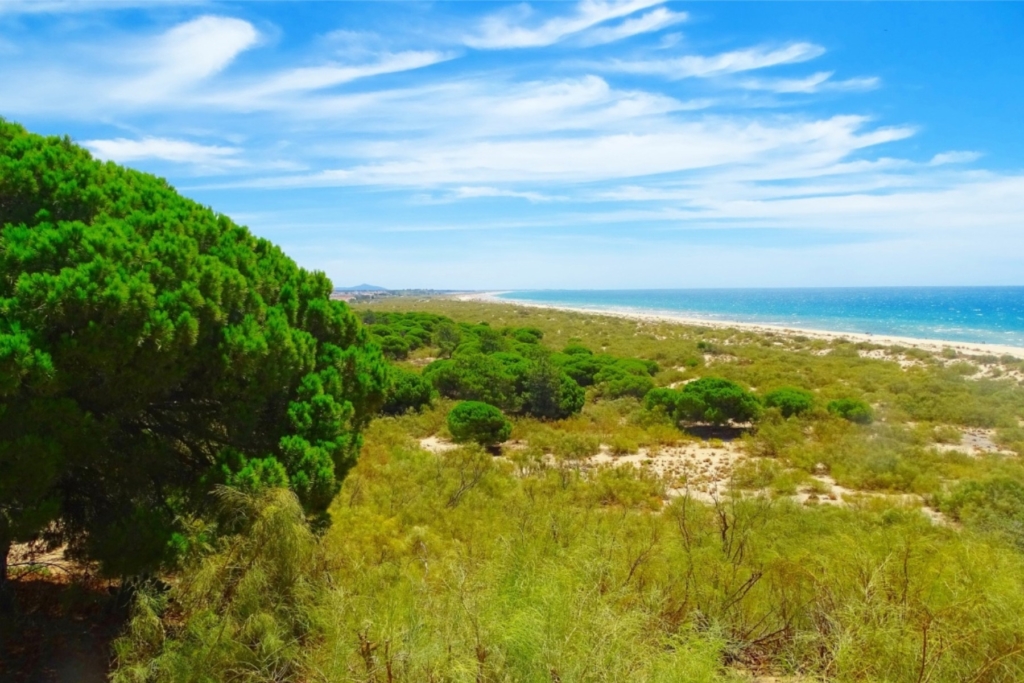 Promenader och upplevelser på Algarvekusten med Singelresor