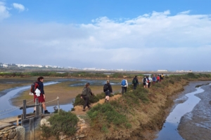 Promenader och upplevelser på Algarvekusten med Singelresor