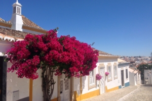 Promenader och upplevelser på Algarvekusten med Singelresor