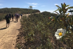Promenader och upplevelser på Algarvekusten med Singelresor