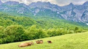 Bergsvandring i Albanien med Singelresor