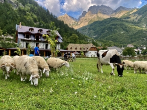 Bergsvandring i Albanien med Singelresor