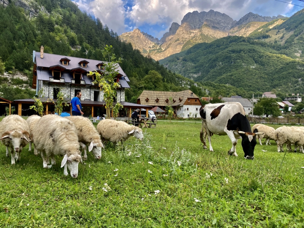 Bergsvandring i Albanien med Singelresor