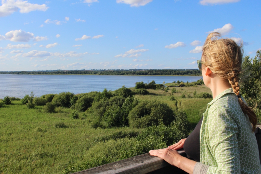 Gåsweekend i Skåne med Singelresor