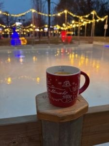 Vackra Wien med julmarknader med Singelresor