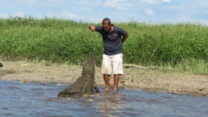 Costa Rica med Singelresor