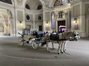 Vackra Wien med julmarknader med Singelresor