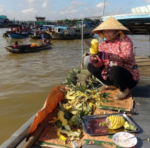 Vietnam med Singelresor