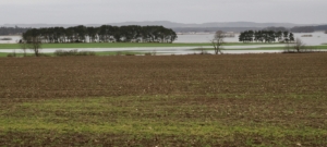 Gåsweekend i Skåne med Singelresor