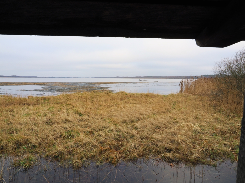 Gåsweekend i Skåne med Singelresor