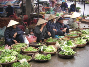 Vietnam med Singelresor