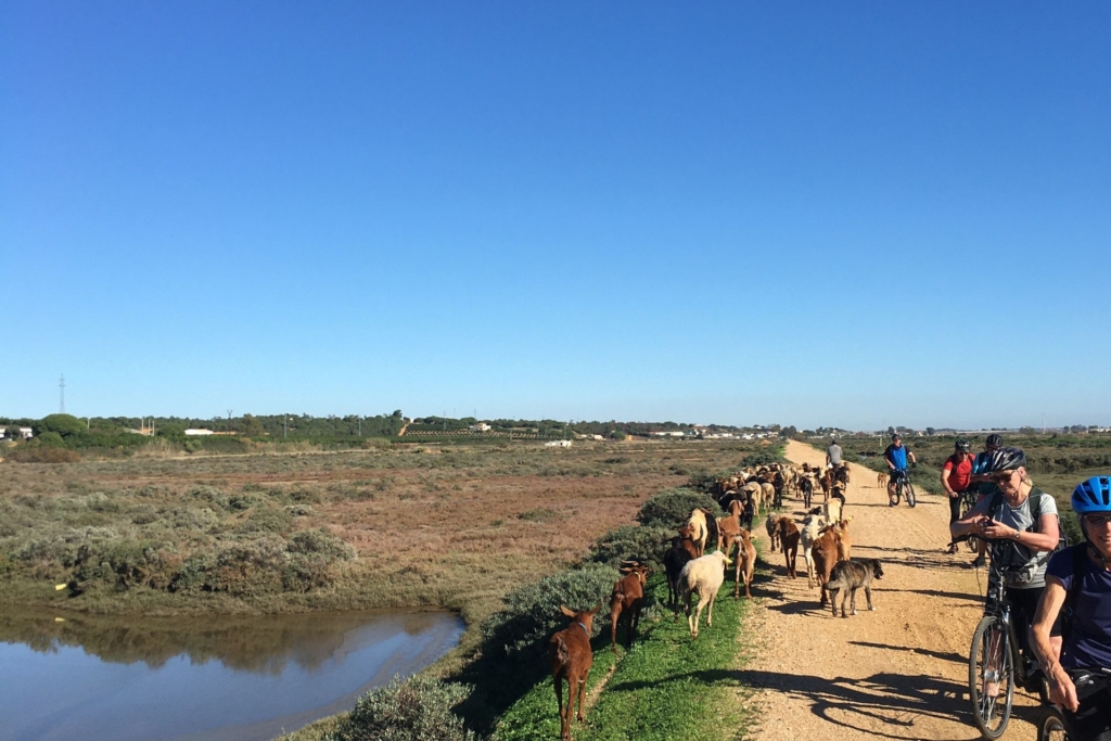 Cykelresa i östra Algarve med Singelresor