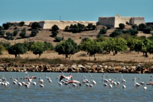 Cykelresa i östra Algarve med Singelresor