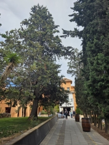 Costa Tropical longstay med Singelresor