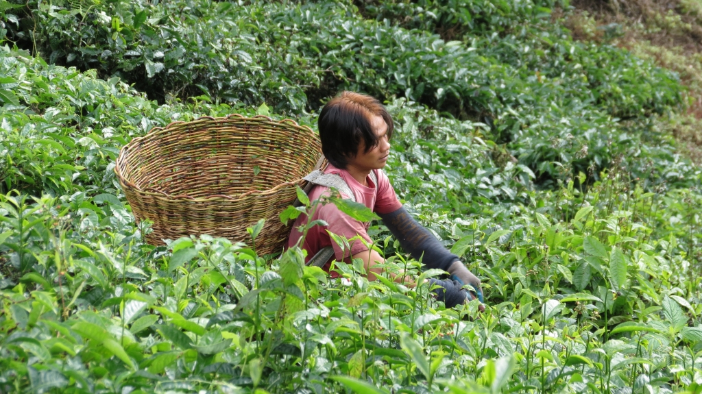 Malaysia med Singelresor