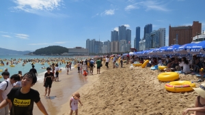 Sydkorea med Singelresor