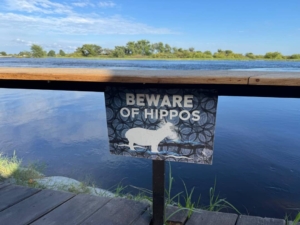 Botswana och Zimbabwe med Singelresor