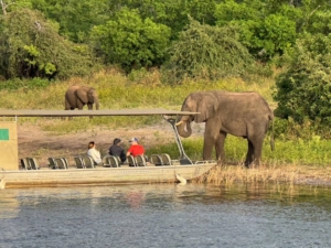 Botswana och Zimbabwe med Singelresor