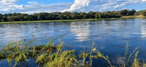 Botswana och Zimbabwe med Singelresor