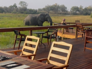 Botswana och Zimbabwe med Singelresor