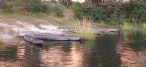 Botswana och Zimbabwe med Singelresor