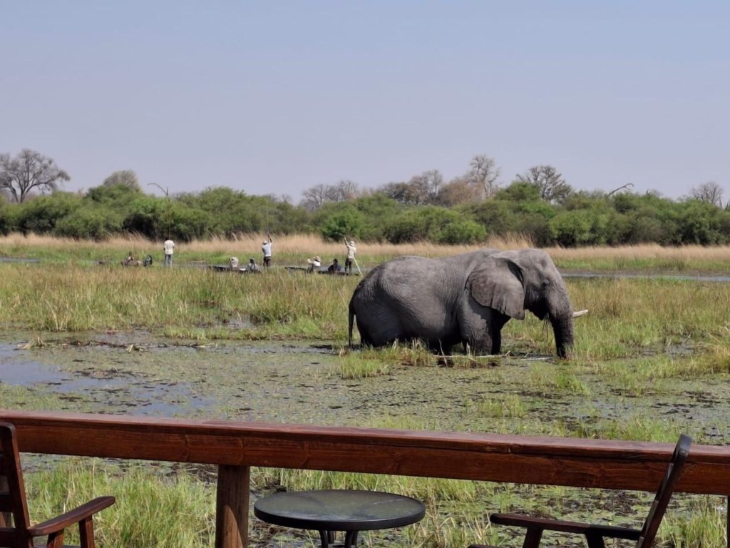 Botswana och Zimbabwe med Victoriafallen