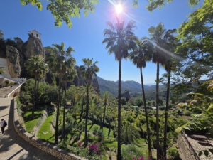 Möt våren i Costa Blanca med Singelresor