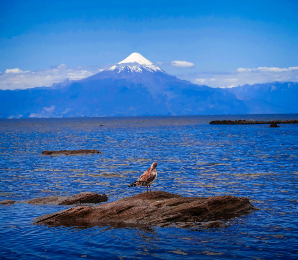 Chile med Singelresor