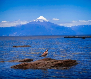 Chile med Singelresor