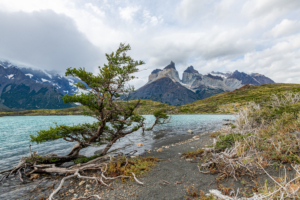 Chile med Singelresor